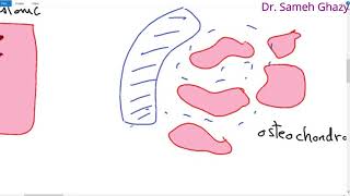 Systemic pathology 31  bone 1  bone tumors 1  DRSAMEH GHAZY [upl. by Rod]