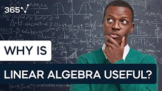 Why is Linear Algebra Useful [upl. by Kramal]