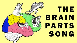 Parts of the Brain Song [upl. by Nivrae]