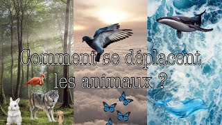 Comment se déplacent les animaux [upl. by Akem504]