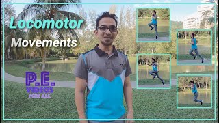 Locomotor movements explained [upl. by Nnaes]