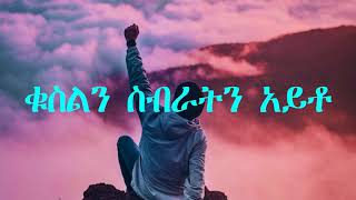 Tesfaye Gabiso lyrics videoነፍሴ ሆይ [upl. by Begga]