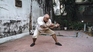 Rare and Ancient Tai Chi Monkeyfist Sequence [upl. by Mccarthy225]