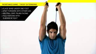 Benefits of Overhead Tricep Extensions [upl. by Sidoney]