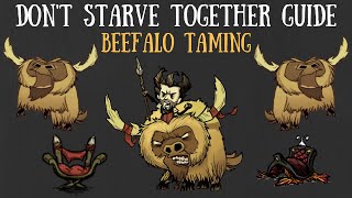 Dont Starve Together Guide Beefalo Taming [upl. by Enaira690]