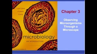 Microbiology Chapter 3 Part 1 of 1 [upl. by Nirrat]