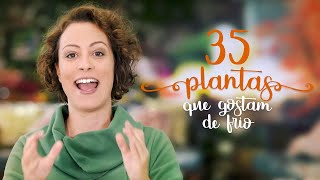 35 PLANTAS que amam FRIO boas pro INVERNO [upl. by Enitnemelc357]