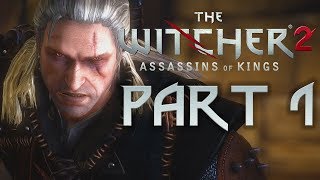 The Witcher Enhanced Edition  Beginners Guide  Tips and Tricks [upl. by Ayhdiv248]