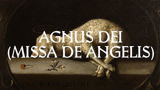 Agnus Dei  Catholic Latin Hymn [upl. by Dahl]