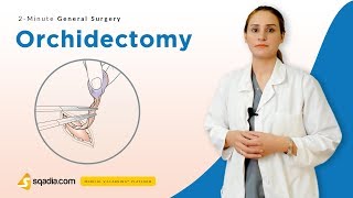 How to manage one sided testicular pain amp sagging  Dr Ravish I R [upl. by Jeannie209]