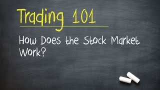 Trading 101 How Does the Stock Market Work [upl. by Eneg]