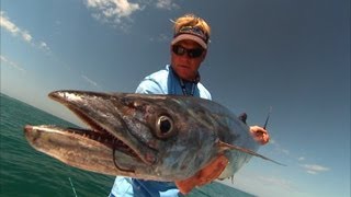 Boca Grande Fishing Videos for Grouper Kingfish and Permit [upl. by Jeavons215]