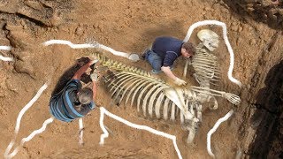 Most BIZARRE Skeletons Ever Discovered [upl. by Bern]