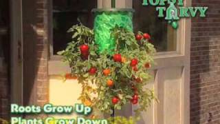 Topsy Turvy Tomato Tree  As Seen on TV Network [upl. by Cris]