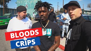 Inside LAs Most Dangerous Hoods  Meeting Bloods amp Crips 🇺🇸 [upl. by Tihom]