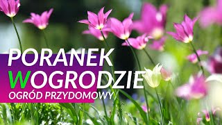 Ogród przydomowy  Poranek w ogrodzie  odc 3 [upl. by Chura]