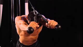 How to do Cable Bent Over Triceps Extensions 91 [upl. by Willem]