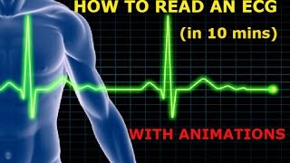 HOW TO READ AN ECG WITH ANIMATIONSin 10 mins [upl. by Katya]