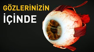 Gözlerinizin İçinde Neler Olur [upl. by Leynwad]