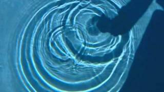 Slow motion water ripples [upl. by Petersen]