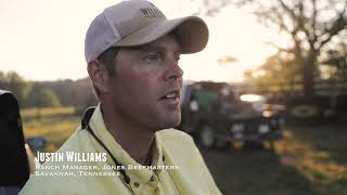 Tennessee Beefmaster Producer Testimonial [upl. by Einiar]