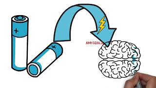 Physiological psychology [upl. by Etnauq528]