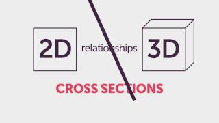 Cross Sections [upl. by Criswell912]