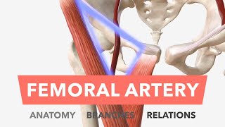 VASCULAR Bypass femoral FASE 66 Cierre [upl. by Mano]