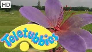 Teletubbies Colours Purple  Full Episode [upl. by Nestor]