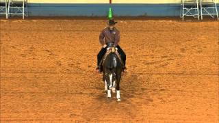 2012 AQHA Reining World Champion  LIL JOE CASH [upl. by Piderit]