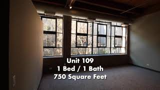 River West Lofts Unit 109  1 Bedroom Timber Loft Apartment [upl. by Nussbaum513]