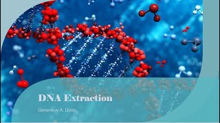 DNA Extraction [upl. by Mikel]