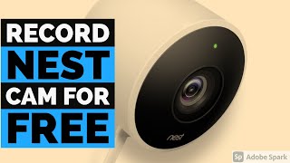 Record Nest Cam for Free [upl. by Refennej]