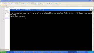 Using Oracle SQL Loader [upl. by Nodnyl729]