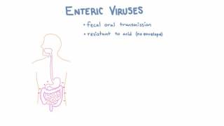 Introduction to Enteric Viruses [upl. by Ahsimac]