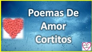 Poemas De Amor Cortitos Para Enamorar A Mi Novia [upl. by Macnair]