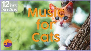 NO ADS 12 Hours of Extremely Relaxing Cat Music [upl. by Salvucci]