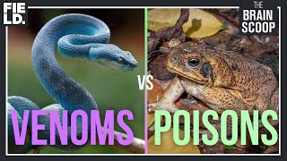 Venoms vs Poisons [upl. by Ut]