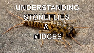 Understanding Stoneflies amp Midges with Tom Rosenbauer [upl. by Solohcin]