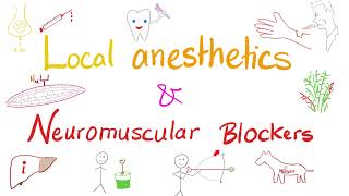 Local Anesthetics and Neuromuscular Blockers  Anesthesiology [upl. by Elad]