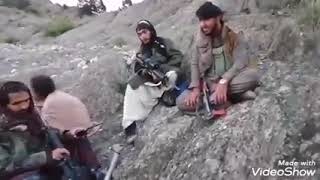 Pashto new tarana afghanistan mujahid afghanistan taleban Nazammujahid naat [upl. by Towers]