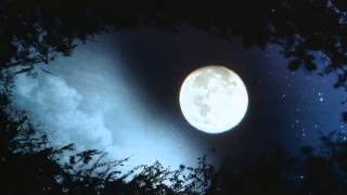 The Moon Represents My Heart  English lyrics [upl. by Eremaj589]