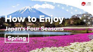 How to Enjoy Japans Four Seasons  Spring [upl. by Nnyllaf]