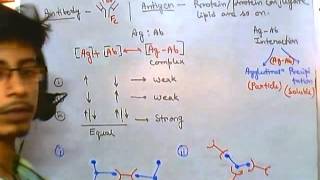 Antigens and antibodies [upl. by Ina]