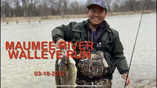 Maumee River Walleye Run 03182022 [upl. by Verda]