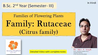 Rutaceae Family  Lemon  Oranges  Wood Apple [upl. by Starbuck646]