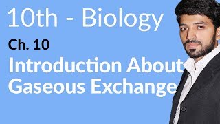 10th Class Biology Chapter 1  Introduction About Gaseous Exchange  Class 10 Biology Chapter 1 [upl. by Anael]