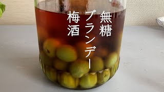 かんたん！美味しい！冷凍梅で無糖のブランデー梅酒 梅酒 ＃無糖梅酒＃冷凍梅＃ブランデー梅酒 [upl. by Seroled]