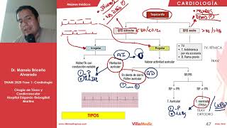 CARDIO  Arritmias Cardíacas  ENAM 2020 [upl. by Aprilette]