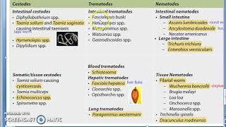 Parasitology 001 c Parasites Classification Helminth Cestodes Trematodes Nematodes [upl. by Paderna]